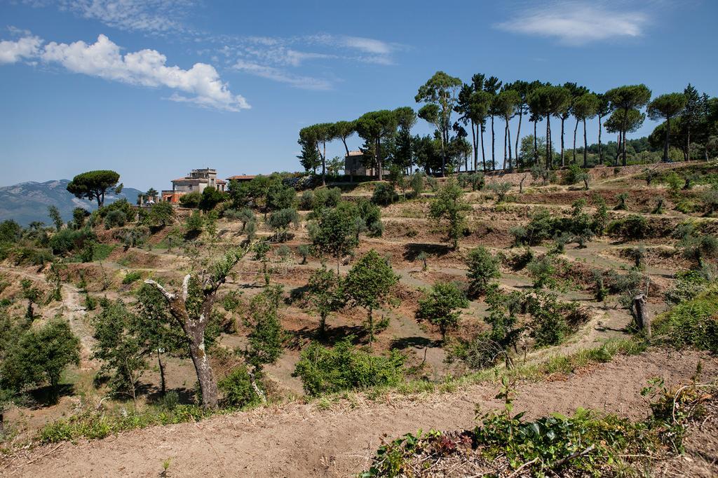 Agriturismo La Molara Sessa Aurunca Esterno foto